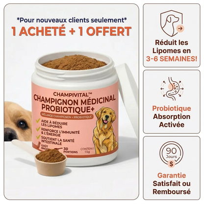 Champivital™ Champignon Médicinal + Probiotiques | Complément pour Chiens contre les Lipomes