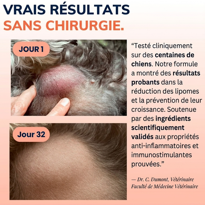 Champivital™ Champignon Médicinal + Probiotiques | Complément pour Chiens contre les Lipomes