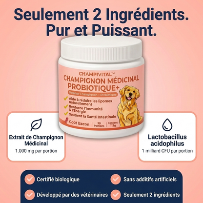 Champivital™ Champignon Médicinal + Probiotiques | Complément pour Chiens contre les Lipomes