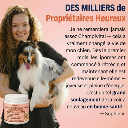 Champivital™ Champignon Médicinal + Probiotiques | Complément pour Chiens contre les Lipomes