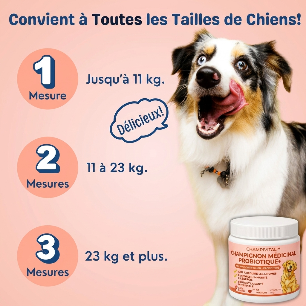 Champivital™ Champignon Médicinal + Probiotiques | Complément pour Chiens contre les Lipomes