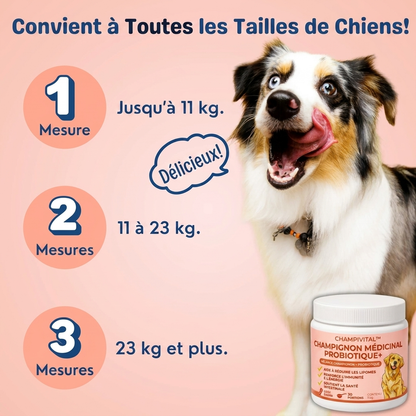 Champivital™ Champignon Médicinal + Probiotiques | Complément pour Chiens contre les Lipomes
